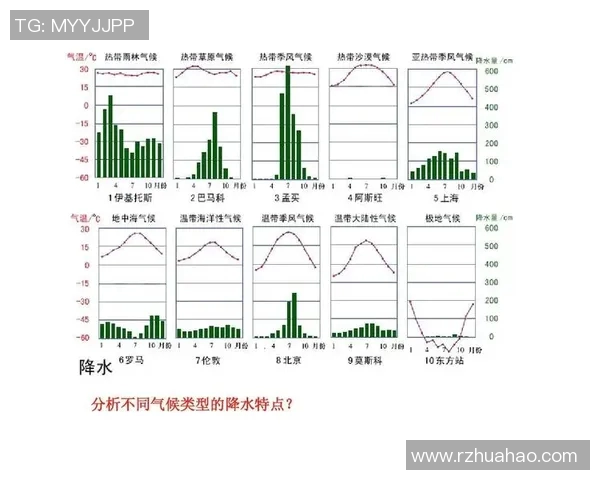 深圳网球队速度表现分析及其对比赛胜负的影响探讨
